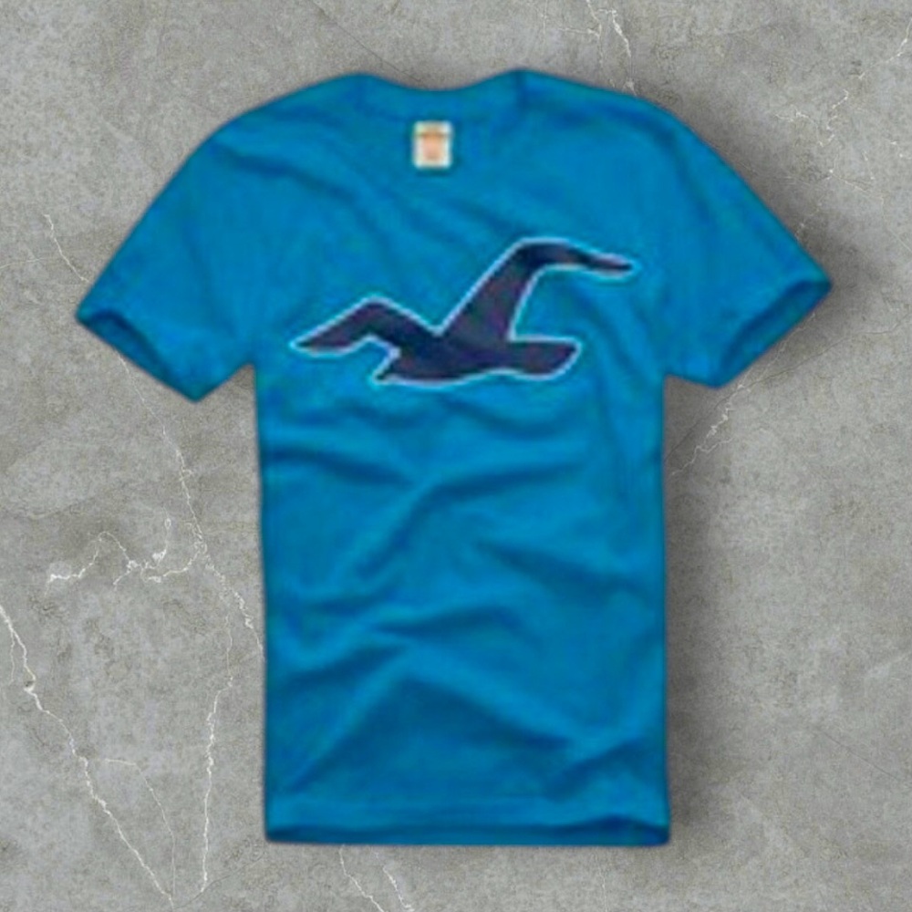 Hollister Blue Graphic T-Shirt Limited Edition